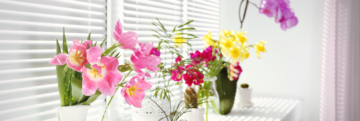 blog flores 705x305