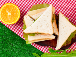blog receitas verão 705x305